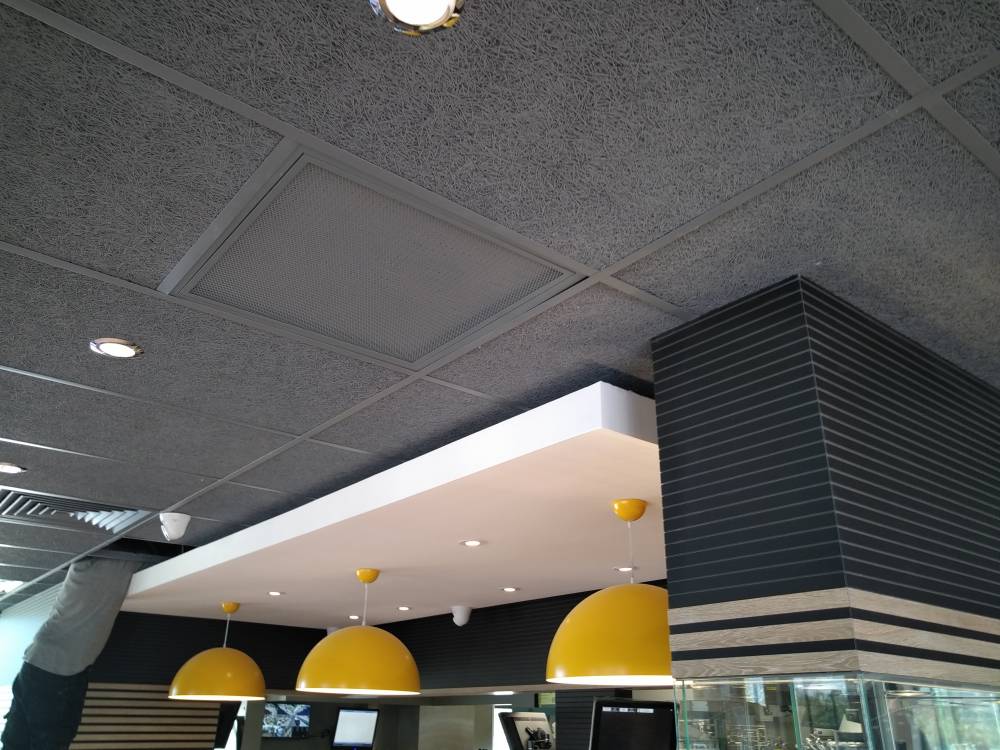 SAS-IDEA-DECOR_faux-plafonds (8).jpg